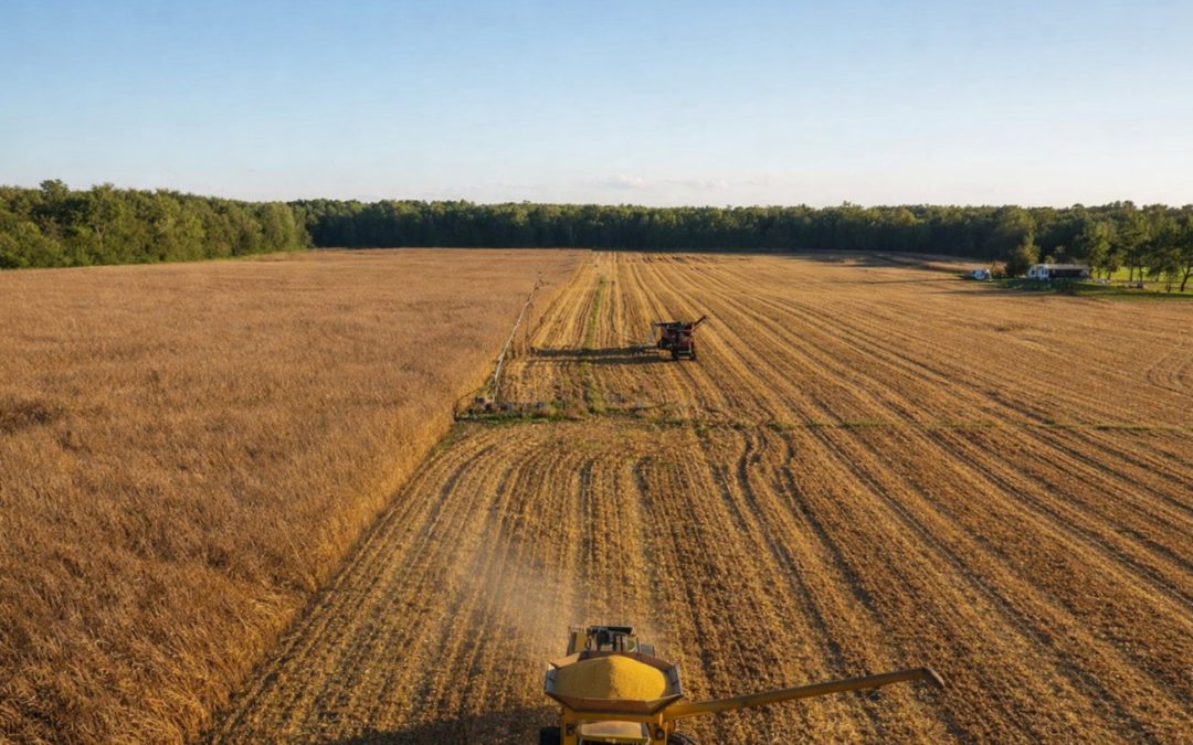 Replenish It and They Will Come